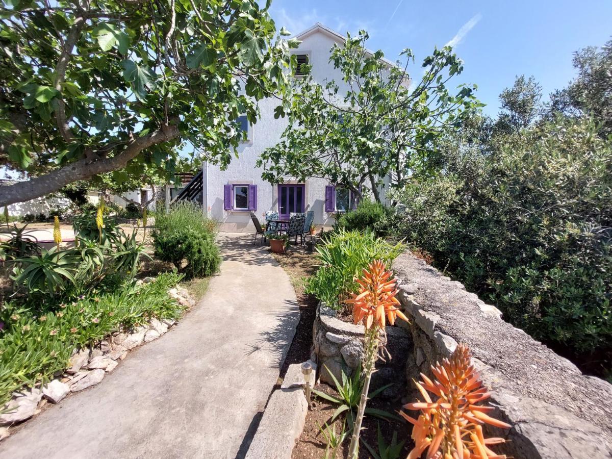 木洛希尼Casa Di Castello公寓 外观 照片